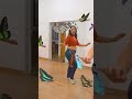 Dança do ventre - Studio Yallah