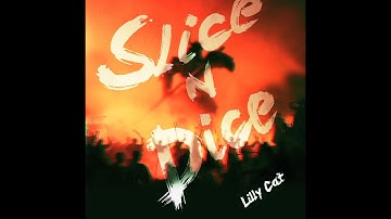 Slice N Dice _ Lilly Cat _ official video