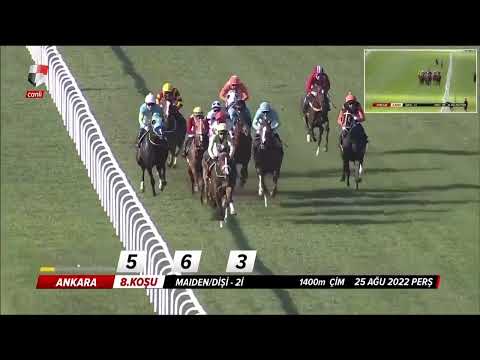 25 Ağustos 2022