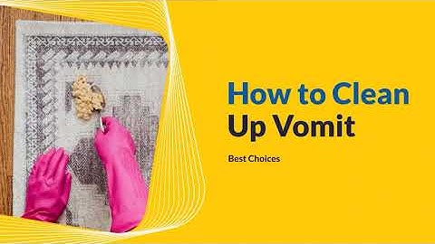 12 Steps to Clean Up Vomit | How to Clean Up Vomit | Best choices
