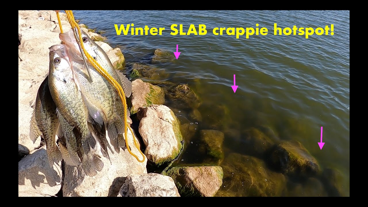 OVER 20 minutes of HAMMERING winter SLAB CRAPPIE on the ROCKS! They were FEASTING!