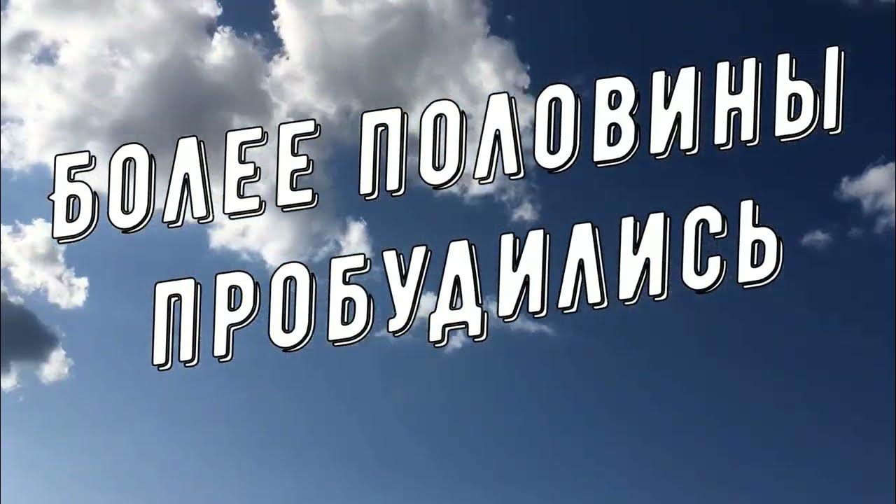 Пробуди ютуб