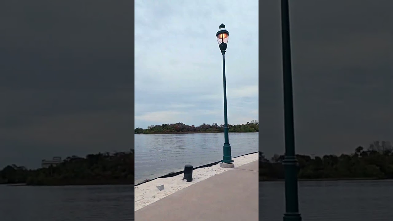 Did you know you can walk to the 