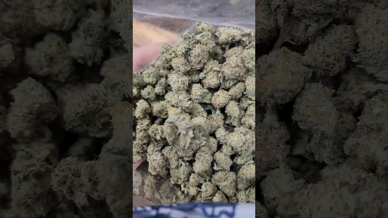 Grape diamonds 🍇💎 flower Ethos genetics