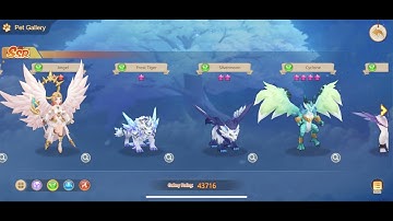 Complete AQUAMAGE GUIDE: Skills & Pets (Guardians of Cloudia)