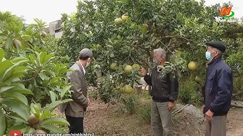 CCB Khánh Mậu tham gia xây dựng khu dân cư NTM kiểu mẫu