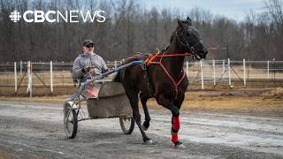 The Rideau Carleton Raceway is shutting down and trainers are not happy