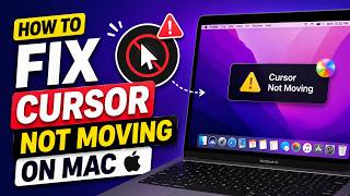 How To FIX Cursor Not Moving On Mac