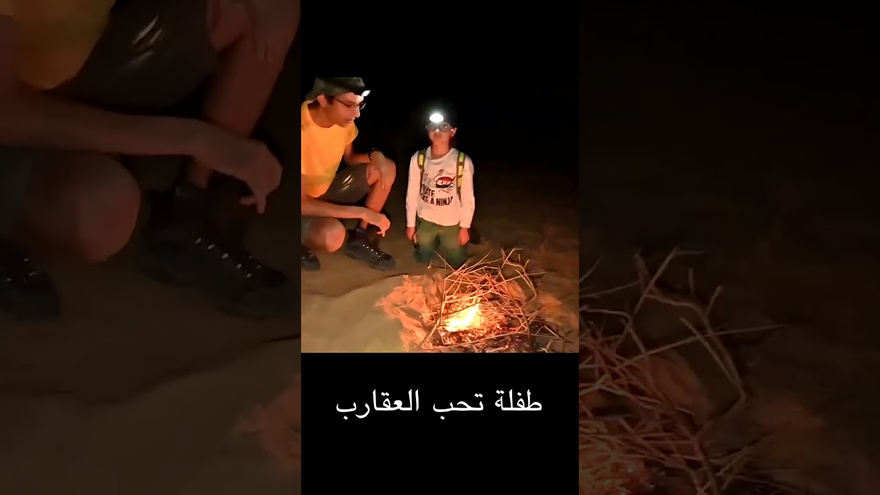 ⁣طفلة تحب الثعابين