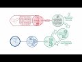 Real-Time Retail Explained