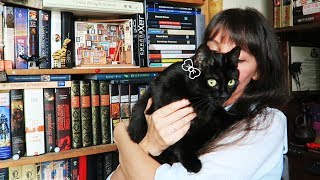 Несколько книг и... одна черная кошка 🐈 Несколько книг и... одна черная кошка 🐈