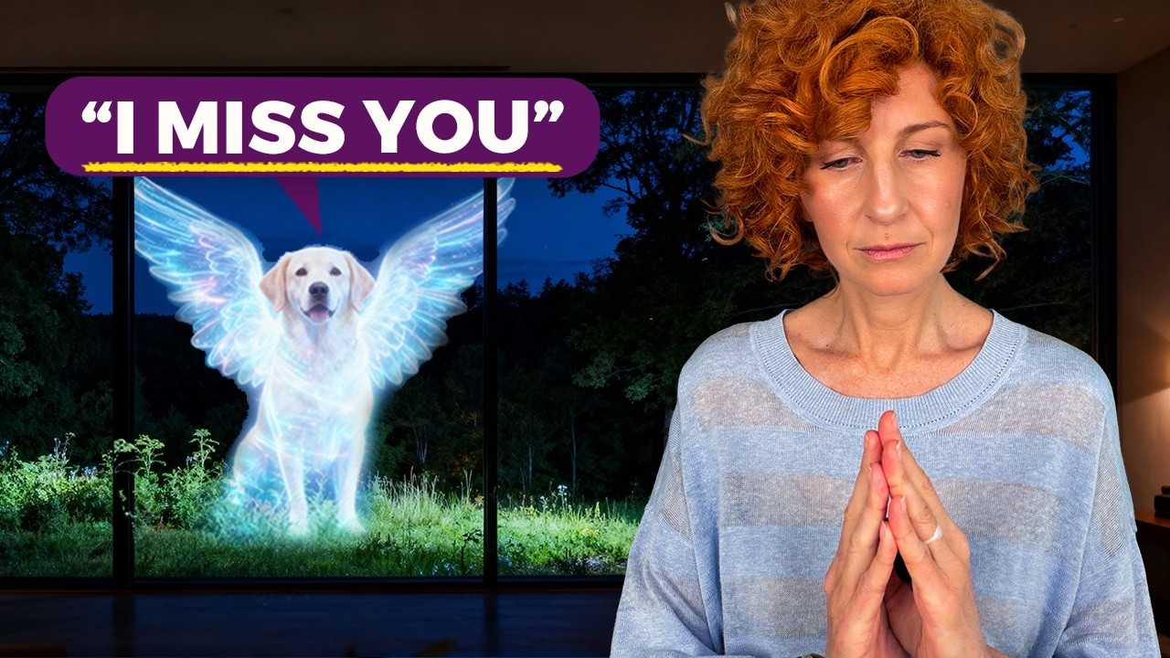 Meditation For Communicating With Pets After Death Pet Loss And Grief Youtube