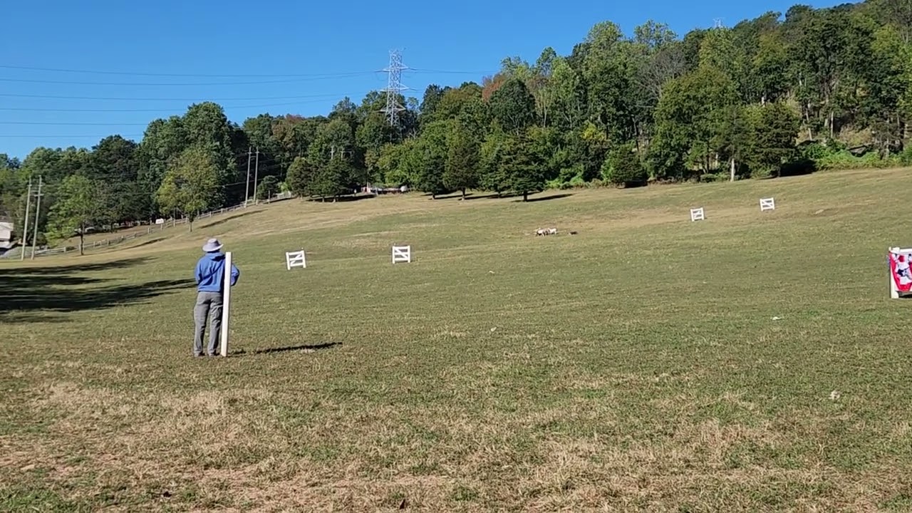 2025 NEBCA Novice Finals - Ranch1 - TrustyJoe 