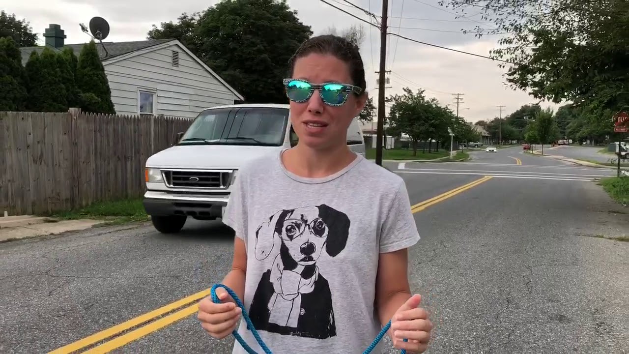 Hamish Before Video French Bulldog - YouTube