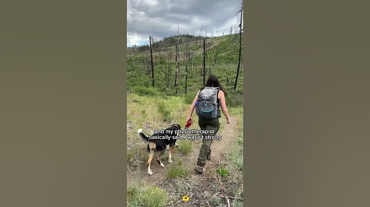 How to train for multi day hikes carrying 30lbs 💪 I add weight to my daily dog walks #camping