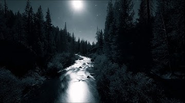 Spring Blossom On A Moonlit River -  Mike Block (Producer)