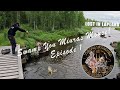 Lost in lapland with miuras mouse  swamp session episode 1