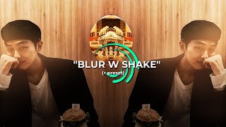 blur w shake #2 (+preset) | reinmra