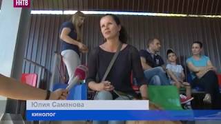 В приюте «Сострадание» открылась многофункциональная кинологическая площадка В приюте «Сострадание» открылась многофункциональная кинологическая площадка