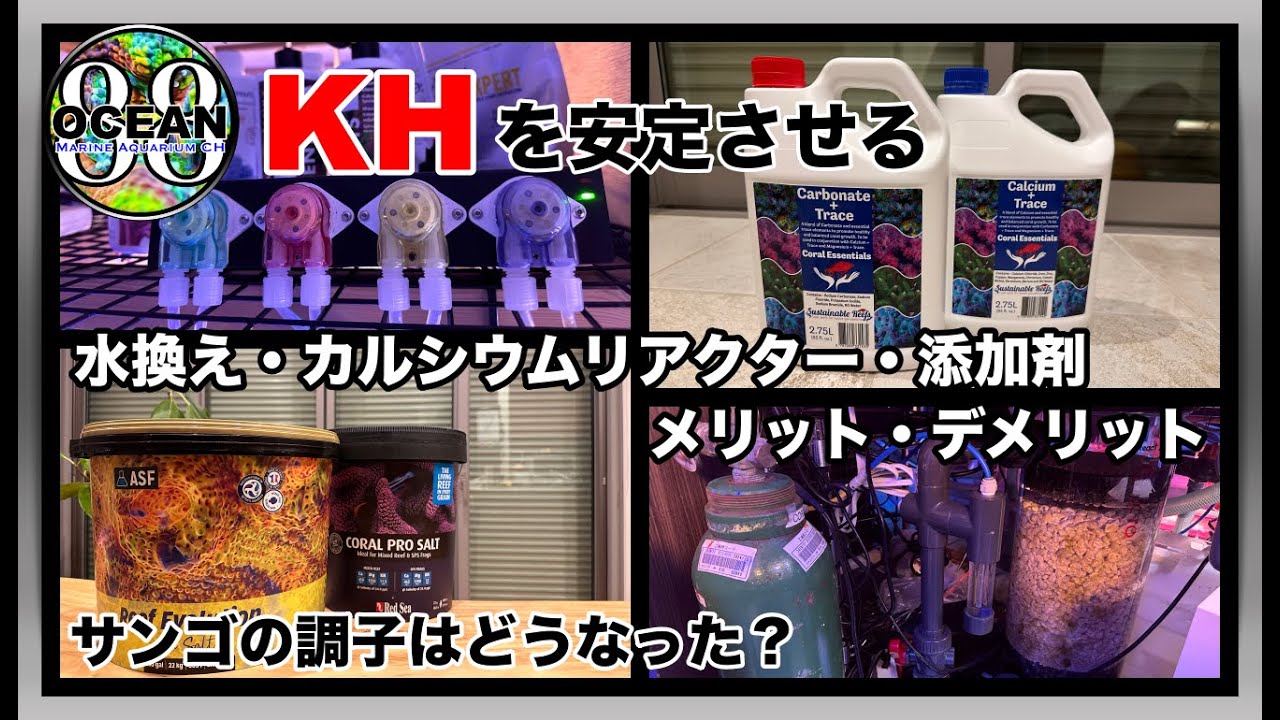【サンゴ水槽・海水魚水槽】KHを安定させる　水換え・添加剤・カルシウムリアクターのメリット・デメリット　サンゴの調子はどうなった？　Coral Essentilas