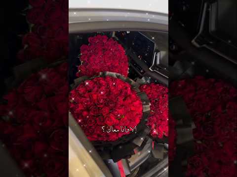 الا وانا معاك فضل شاكر حب وغرام من القلب 