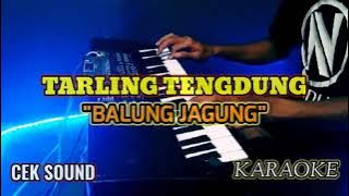 BALUNG JAGUNG TARLING TENGDUNG KARAOKE (ORG 2023) CEK SOUND BASS ADEM