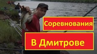 Дмитров. Маховое удилище. Окунь, подлещик, плотва.