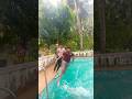 കലാശക്കൊട്ട്