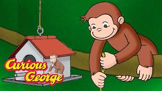 Download Lagu George and the Hungry Squirrel π΅ Curious George π΅ Kids Cartoon π΅ Kids Movies MP3 Download Lagu George and the Hungry Squirrel π΅ Curious George π΅ Kids Cartoon π΅ Kids Movies MP3