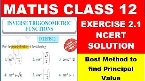 Exercise 2.1 Inverse Trigonometric Functions Class 12th Maths I Find Principal Value