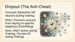 How to Train Neural Networks Faster: Momentum, Dropout & Batch Norm