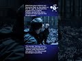 The Hunger Games – When One Girl Becomes a Revolution #movie #movies #thehungergames
