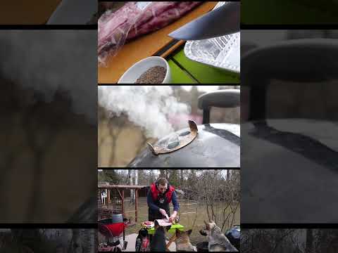 ПРАВИЛЬНОЕ КОПЧЕНИЕ НА ГРИЛЕ #ГРИЛЬ #SHORTS #MAESTROBBQ