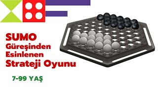 Orijinal Oyun Asmodee Abalone Nasıl Oynanır?