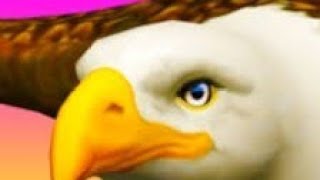 Eagle ride