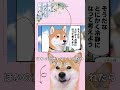 #shorts #short #shortvideo #世界の終わりに柴犬と #ハスキー #柴犬 #豆しば #ショート #子犬 #猫動画