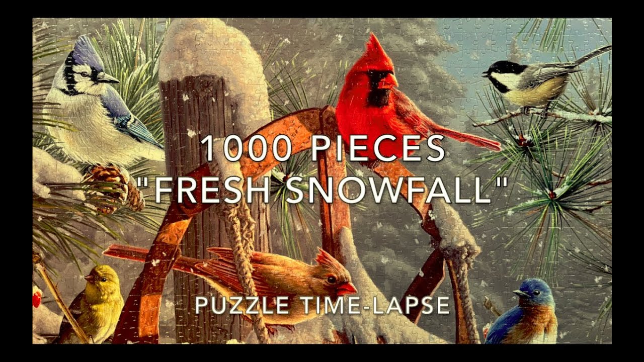 1000 Piece Jigsaw Puzzle Time Lapse - Fresh Snowfall - YouTube