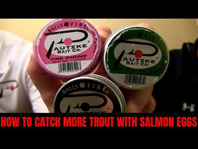 Tips to Catch More Trout With Salmon Eggs 