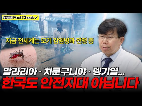 The world is at war with mosquitoes—from chikungunya to malaria to dengue fever | Professor Kim N...