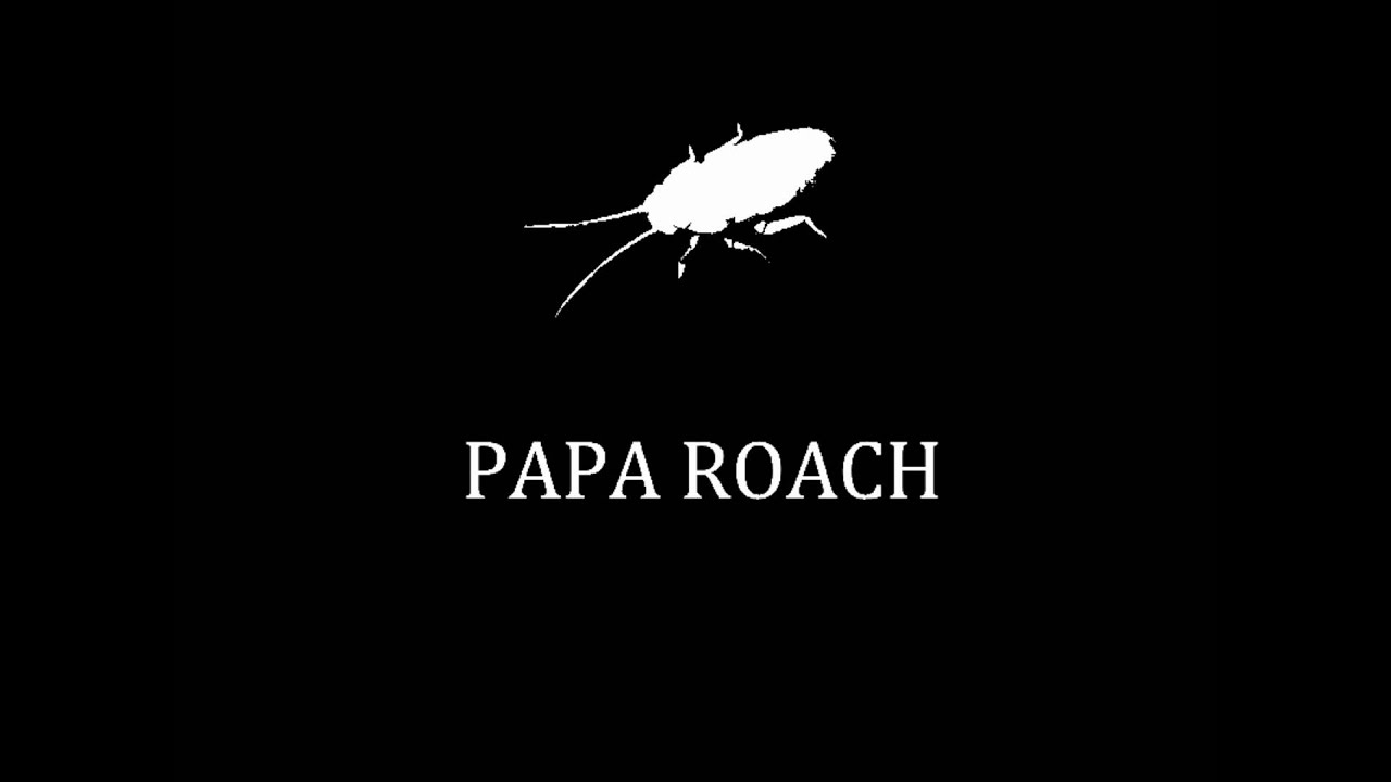 Papa Roach - Last Resort - Acoustic Instrumental