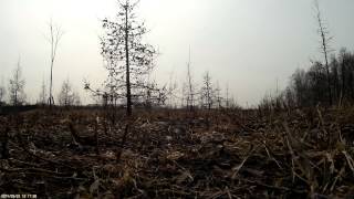 20140323 8