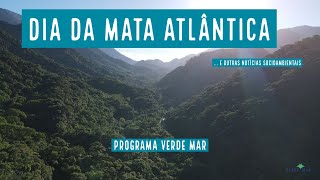 Dia da Mata Atlântica e os frutos nativos que não conhecemos - VERDE MAR AO VIVO