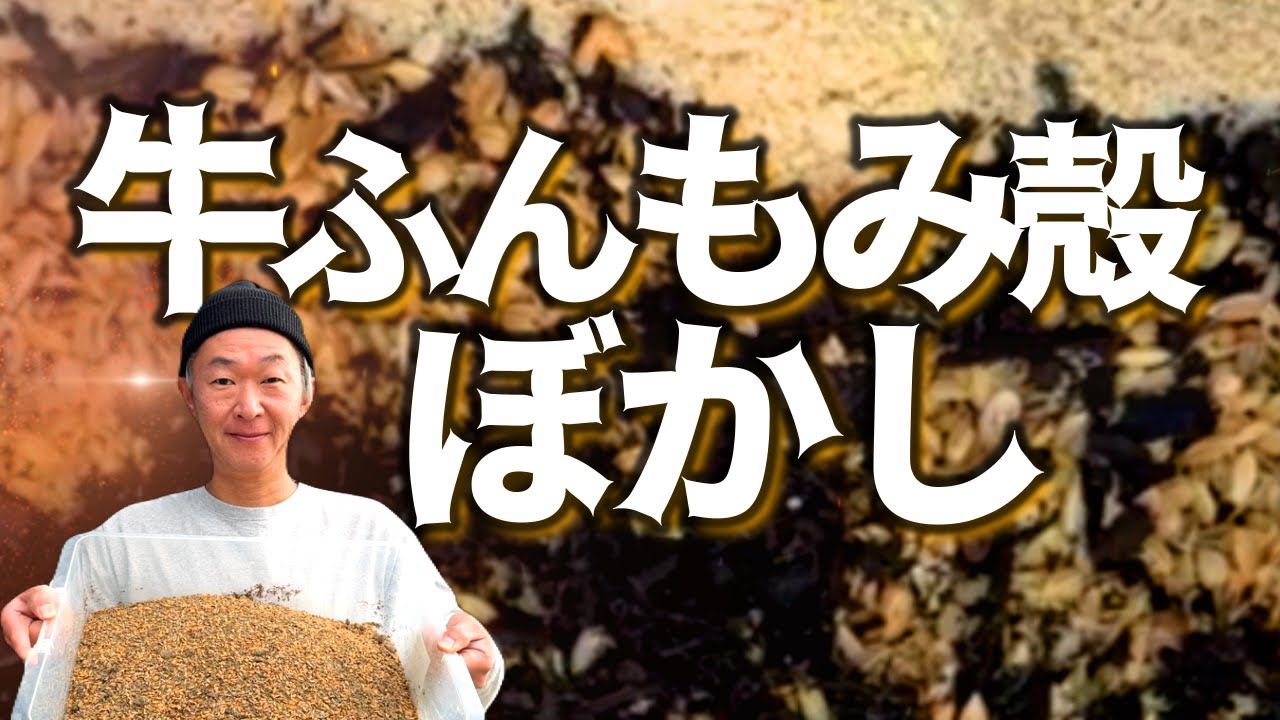 【ぼかし肥料】牛ふんもみ殻ぼかしの作り方·管理方法·経過·仕上がり·失敗した時は？全部わかります!!