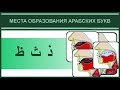 15. Места образования ث ذ ظ | Айман Сувейд (русские субтитры)