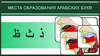 15. Места образования ث ذ ظ | Айман Сувейд (русские субтитры)