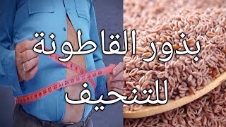 كيف تستخدم بذور القاطونه للتنحيف