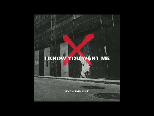 I KNOW YOU WANT ME (RYANTMR EDIT) class=