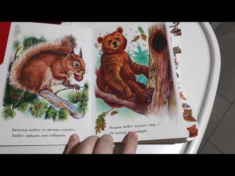 В лесу Олеся Квитка. Издательство Fun Tun