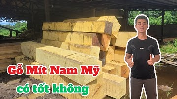Gỗ Hương Đỏ Nam Phi và Gỗ Mít Nam Phi gỗ nào tốt hơn, làm đồ thờ bền hơn