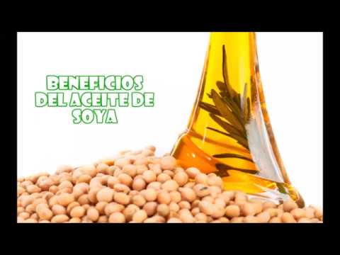 propiedades y beneficios del germen de soya